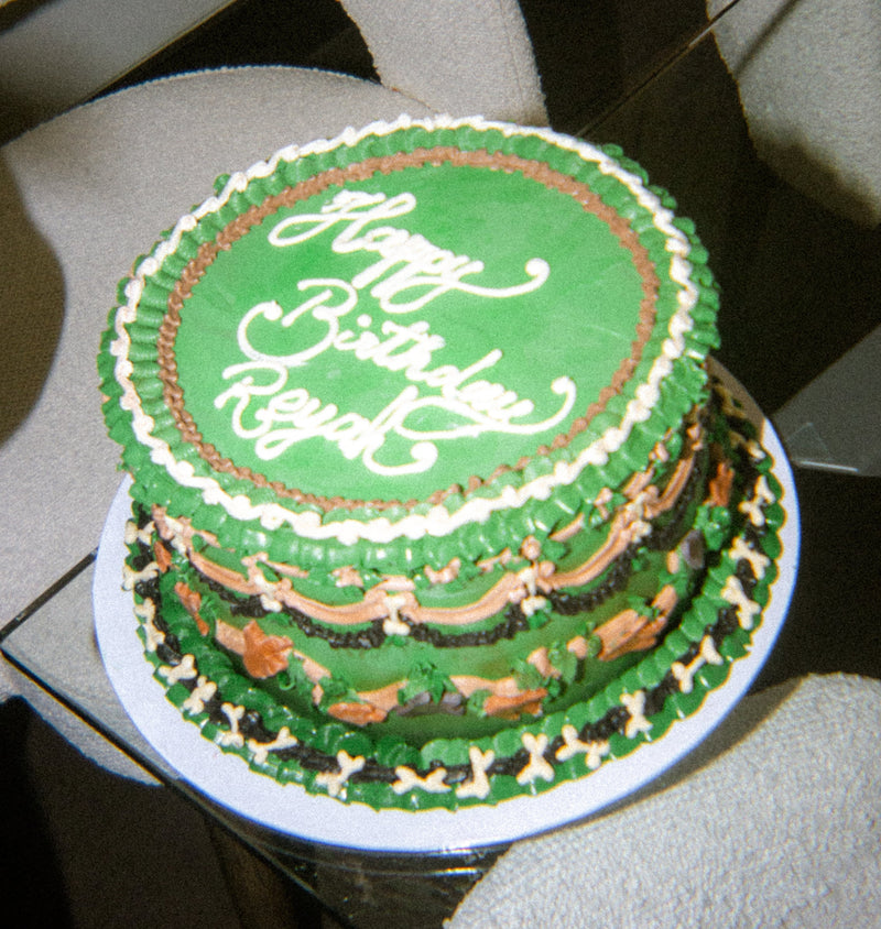 Dinosaur Inspired Cake
